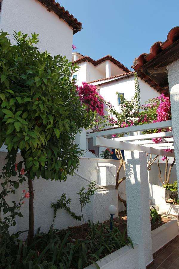 Hotel Elena Syvota Exteriér fotografie